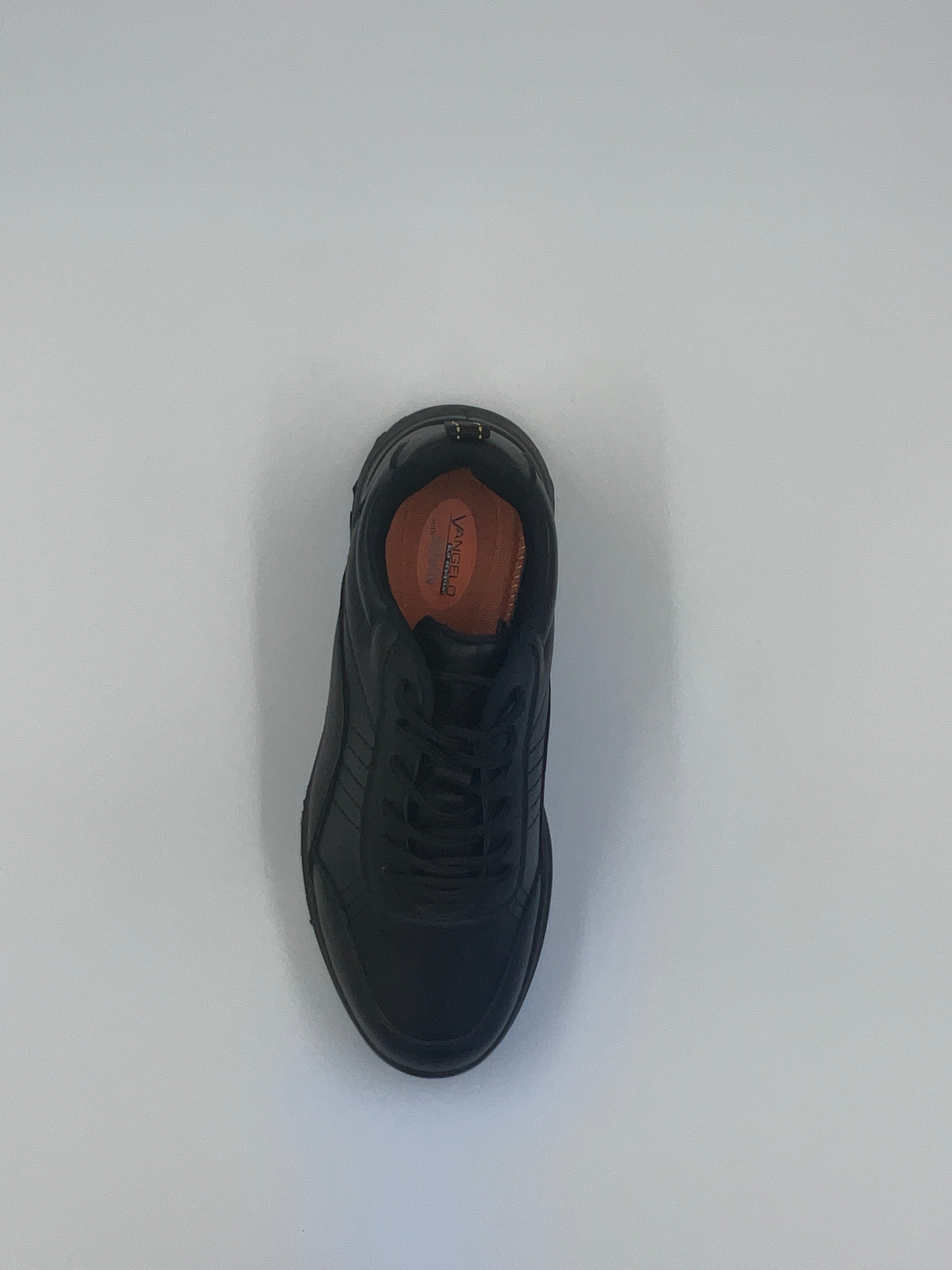 Aria-4